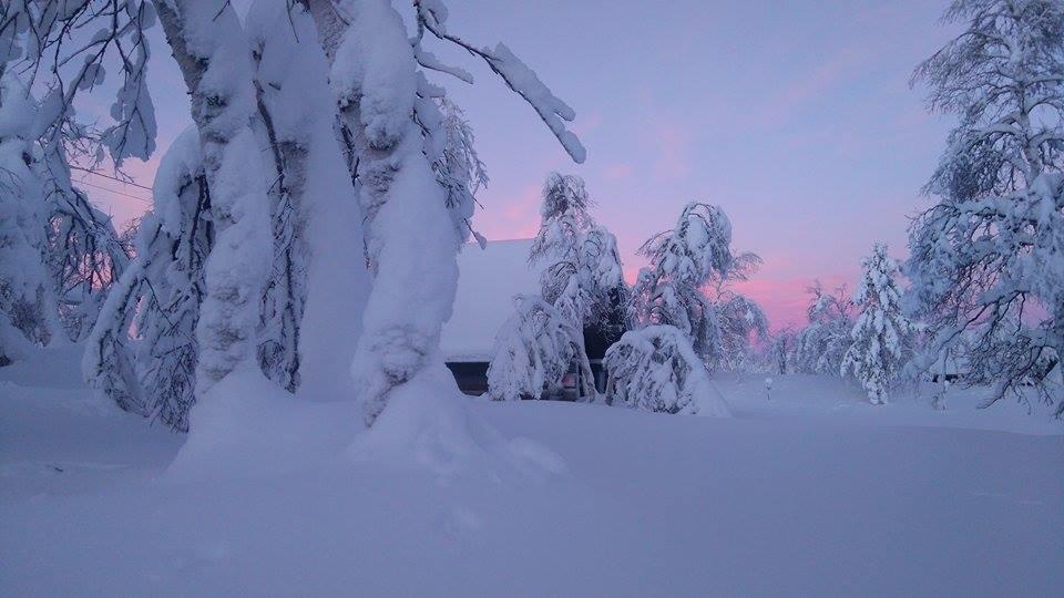 Galdotieva-Seo Villa Leppäjärvi Екстериор снимка