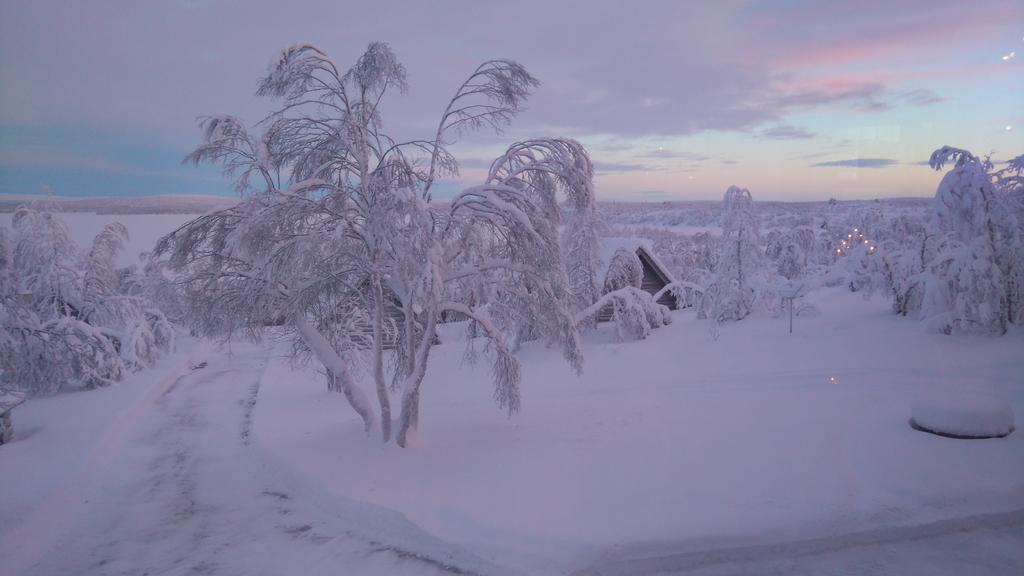 Galdotieva-Seo Villa Leppäjärvi Екстериор снимка